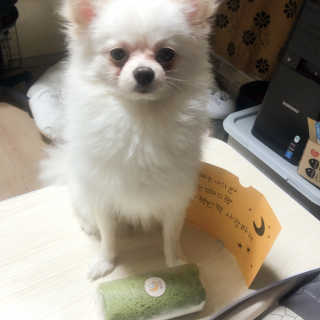 jisun3392님이 올린 리뷰 사진 1