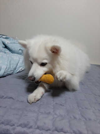 pie_chui님이 올린 리뷰 사진 4