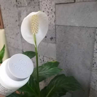 i_봄꽃💗님이 올린 리뷰 사진 2