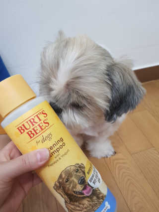 민우다빈이맘님이 올린 리뷰 사진 1