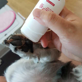 [레드허니밤]자유펫 고양이 강아지 발바닥 밤 14g — 5점을 준 리뷰어가 2020년 7월 올린 사용 사진