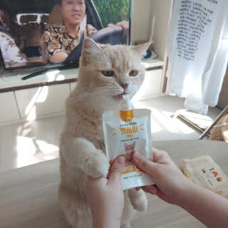 라니나리님이 올린 리뷰 사진 3