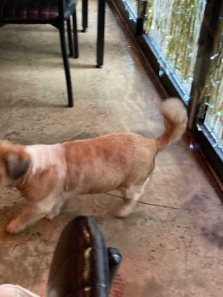 윤윤이님이 올린 리뷰 사진 4