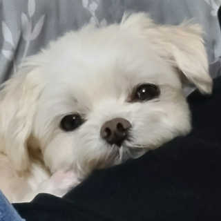 🦄행운의여신유니콩🦄님이 올린 리뷰 사진 1