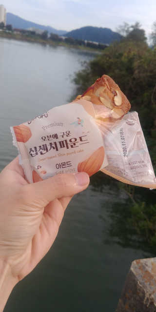 [델포유] 오븐에 구운 십센치 파운드 케이크 10개세트 — 4.5점을 준 리뷰어가 2020년 10월 올린 사용 사진