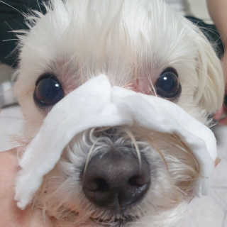 설기넹님이 올린 리뷰 사진 3