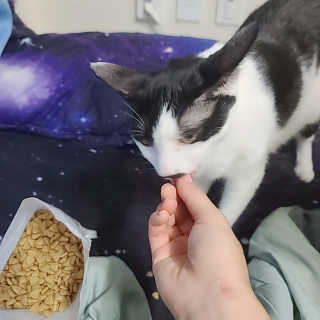 은지님이 올린 리뷰 사진 3