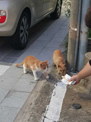 윤봉님이 올린 리뷰 사진 3