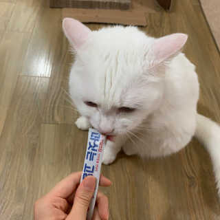 례진님이 올린 리뷰 사진 1