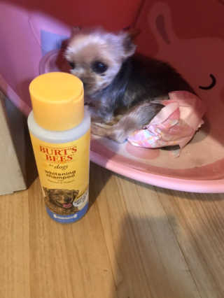 hana님이 올린 리뷰 사진 1