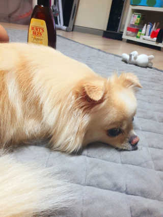 애리님님이 올린 리뷰 사진 3