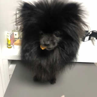 별톱님이 올린 리뷰 사진 3