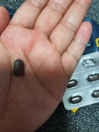 조은약초 꿀잠큐어 제주 감태추출물 감태정 600mg — 4점을 준 리뷰어가 2020년 5월 올린 사용 사진
