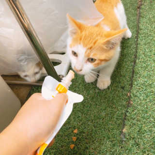 sseung님이 올린 리뷰 사진 3
