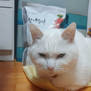 라온시연님이 올린 리뷰 사진 1