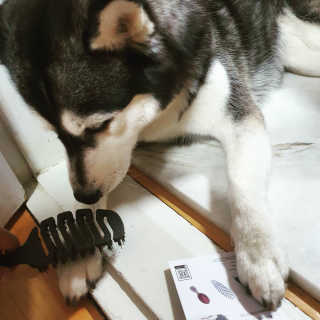 Soo님이 올린 리뷰 사진 1