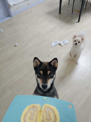 민댕이님이 올린 리뷰 사진 1