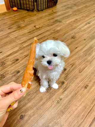 임블리님이 올린 리뷰 사진 2