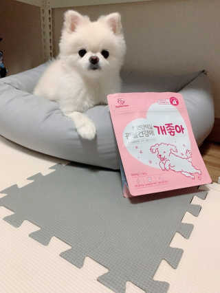 My Pet Care 천연단백질 관절건강에 개좋아 — 5점을 준 리뷰어가 2020년 12월 올린 사용 사진