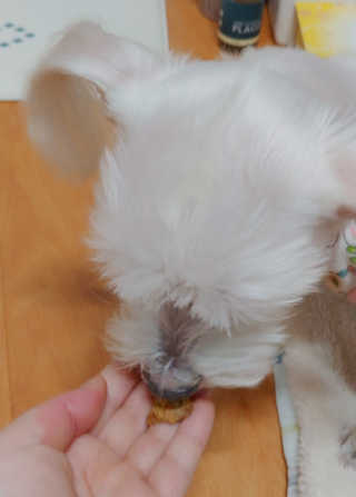 비커잠해피님이 올린 리뷰 사진 2