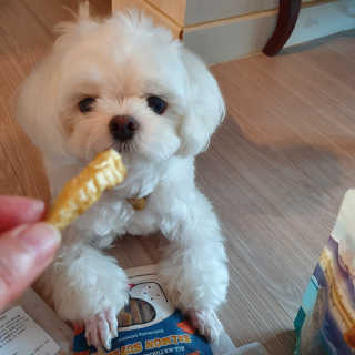 hosu.1230님이 올린 리뷰 사진 2