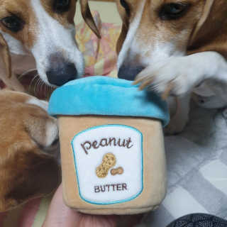 beaglelove님이 올린 리뷰 사진 2