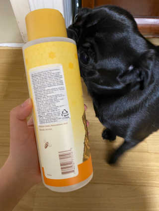 탄이맘님이 올린 리뷰 사진 2