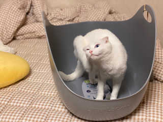 은주님이 올린 리뷰 사진 1