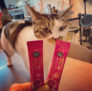 심쿵하루님이 올린 리뷰 사진 3