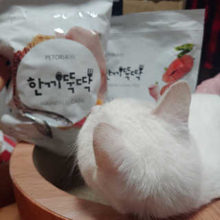 펫토리아 한끼뚝딱 프리미엄 고양이사료_그레인프리/헤어볼케어 — 4점을 준 리뷰어가 2020년 6월 올린 사용 사진
