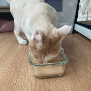앙주비님이 올린 리뷰 사진 4