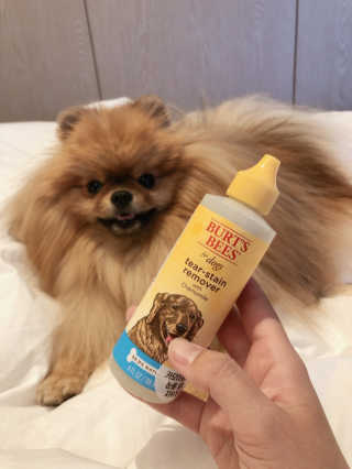 아롱이님이 올린 리뷰 사진 1