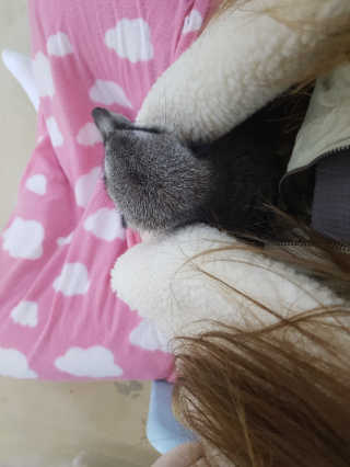 옹알이님이 올린 리뷰 사진 2