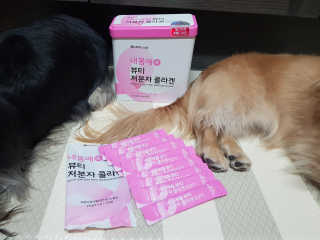 서울약사신협_내몸애뷰티저분자콜라겐_2.5g 50포 — 5점을 준 리뷰어가 2020년 5월 올린 사용 사진