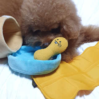 최정임님이 올린 리뷰 사진 1