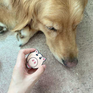 아보카도올리브님이 올린 리뷰 사진 3