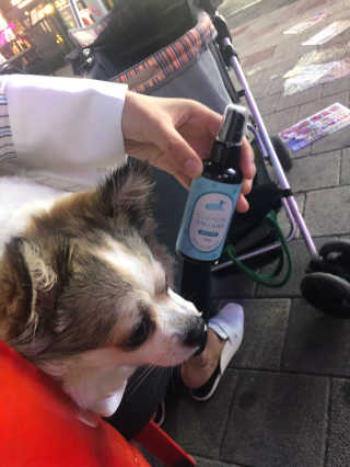 sweetrain님이 올린 리뷰 사진 2