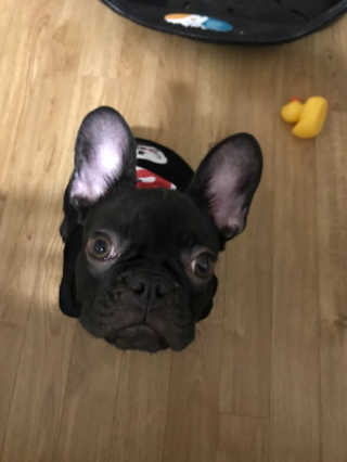 WJBOXX님이 올린 리뷰 사진 4