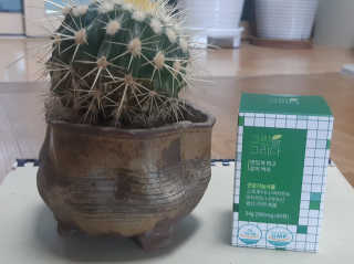 새돌댕댕님이 올린 리뷰 사진 2