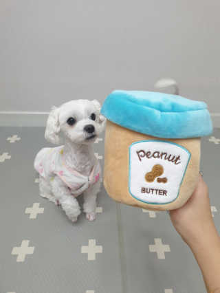 뽀야님이 올린 리뷰 사진 1
