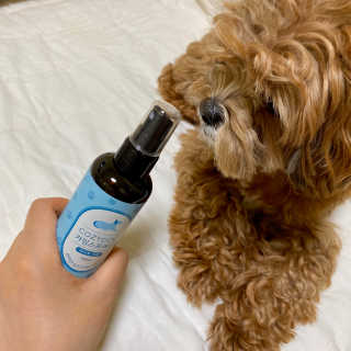 코지독 카밍스프레이 100ml — 5점을 준 리뷰어가 2020년 5월 올린 사용 사진
