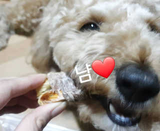 란아님이 올린 리뷰 사진 3