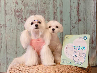 My Pet Care 천연단백질 눈건강에 개좋아 — 4점을 준 리뷰어가 2020년 11월 올린 사용 사진