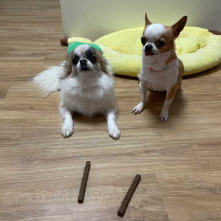 My Pet Care 천연단백질 치아건강에 개좋아 — 5점을 준 리뷰어가 2020년 12월 올린 사용 사진