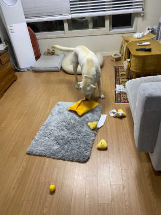 정봐기린님이 올린 리뷰 사진 2