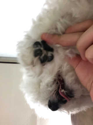 HAY님이 올린 리뷰 사진 3