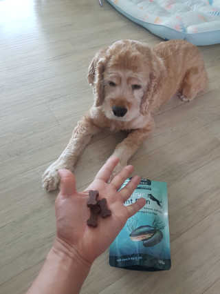 찬이애비님이 올린 리뷰 사진 4