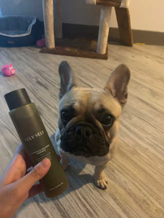 VELY VELY Artemisia Balance Essence — 5점을 준 리뷰어가 2020년 7월 올린 사용 사진
