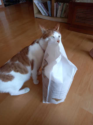 닥터믕님이 올린 리뷰 사진 1