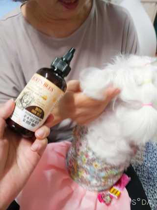 두부님이 올린 리뷰 사진 1